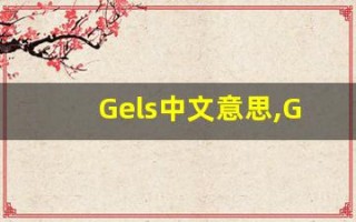 Gels中文意思,Gels中文翻译,Gels用法及例句,Gels语法