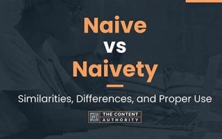 naivete什么意思,naivete中文翻译,naivete用法及例句,naivete怎么读