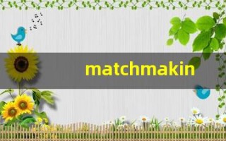 matchmaking什么意思,matchmaking用法,matchmaking造句