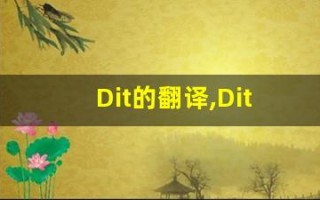 Dit的翻译,Dit怎么读,Dit造句及用法