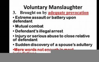manslaughter什么意思,manslaughter中文翻译,manslaughter用法及例句,manslaughter怎么读