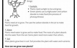 grow怎么读,grow中文翻译,grow什么意思,grow用法及例句
