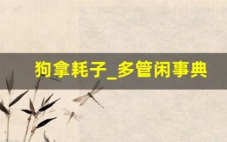 狗拿耗子_多管闲事典故,狗拿耗子_多管闲事故事,狗拿耗子_多管闲事是什么意思