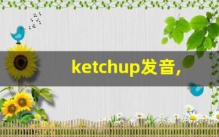 ketchup发音,怎么读,ketchup什么意思,ketchup例句用法