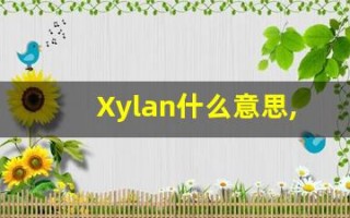 Xylan什么意思,Xylan用法,Xylan造句,Xylan的发音