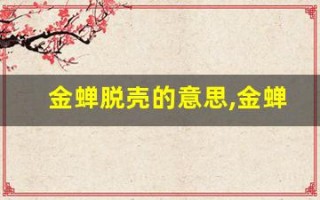 金蝉脱壳的意思,金蝉脱壳的近义词反义词,金蝉脱壳造句例句,金蝉脱壳出处及解释