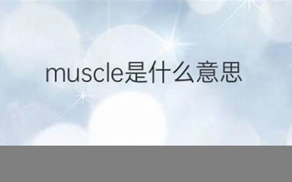 muscular什么意思,muscular中文翻译,muscular用法及例句,muscular怎么读
