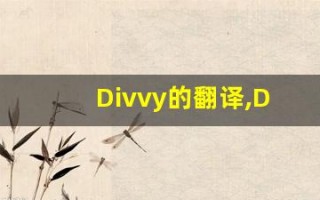 Divvy的翻译,Divvy怎么读,Divvy造句及用法