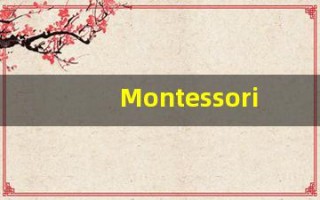 Montessori的翻译,Montessori怎么读,Montessori造句及用法