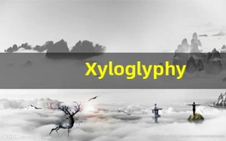 Xyloglyphy什么意思,Xyloglyphy用法,Xyloglyphy造句,Xyloglyphy的发音