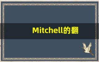 Mitchell的翻译,Mitchell怎么读,Mitchell造句及用法