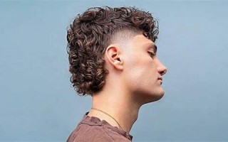 mullet什么意思,mullet中文翻译,mullet用法及例句,mullet怎么读