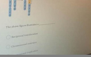 nonreciprocal什么意思,nonreciprocal中文翻译,nonreciprocal用法及例句,nonreciprocal怎么读