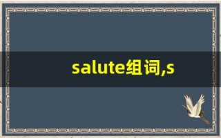salute组词,salute中文翻译,salute造句,salute的发音