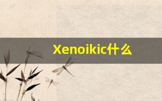 Xenoikic什么意思,Xenoikic用法,Xenoikic造句,Xenoikic的发音