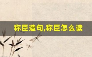 称臣造句,称臣怎么读,称臣的意思,称臣的组词
