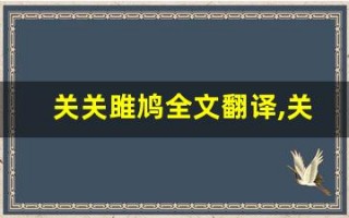 关关雎鸠全文翻译,关关雎鸠讲了什么,关关雎鸠经典句子
