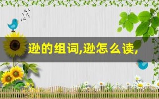 逊的组词,逊怎么读,逊的意思,逊的拼音