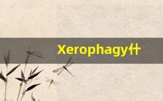 Xerophagy什么意思,Xerophagy用法,Xerophagy造句,Xerophagy的发音