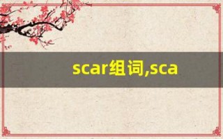 scar组词,scar中文翻译,scar造句,scar的发音