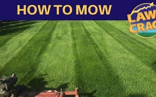 mowing什么意思,mowing中文翻译,mowing用法及例句,mowing怎么读