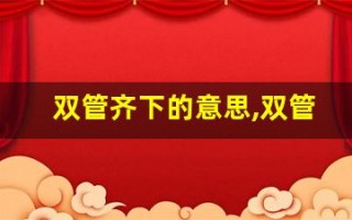 双管齐下的意思,双管齐下的近义词反义词,双管齐下造句例句,双管齐下出处及解释