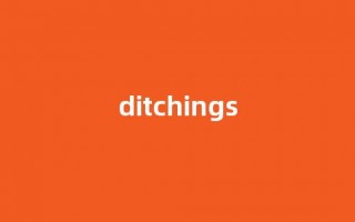 Ditching中文翻译,啥意思，Ditching用法及例句(dite的中文)
