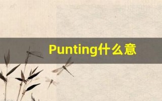 Punting什么意思,Punting用法,Punting的发音,Punting翻译