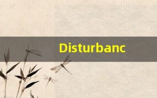 Disturbance的翻译,Disturbance怎么读,Disturbance造句及用法