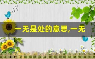 一无是处的意思,一无是处的近义词反义词,一无是处造句例句,一无是处出处及解释