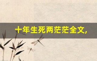 十年生死两茫茫全文,十年生死两茫茫讲了什么,十年生死两茫茫经典句子