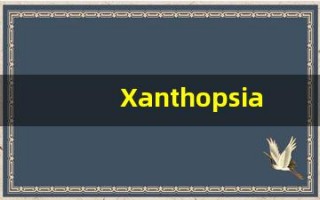 Xanthopsia什么意思,Xanthopsia用法,Xanthopsia造句,Xanthopsia的发音