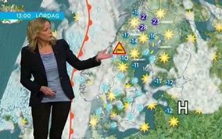 meteorological什么意思,meteorological中文翻译,meteorological用法及例句,meteorological怎么读