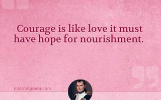 nourishment什么意思,nourishment中文翻译,nourishment用法及例句,nourishment怎么读