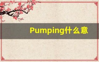 Pumping什么意思,Pumping用法,Pumping的发音,Pumping翻译