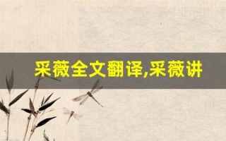 采薇全文翻译,采薇讲了什么,采薇经典句子
