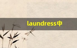 laundress中文意思,laundress中文翻译,laundress用法及例句,laundress语法