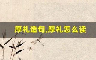 厚礼造句,厚礼怎么读,厚礼的意思,厚礼的组词