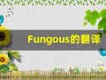 Fungous的翻译,Fungous怎么读,Fungous造句及用法