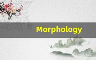 Morphology的翻译,Morphology怎么读,Morphology造句及用法