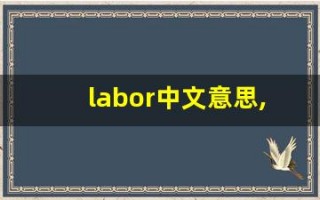 labor中文意思,labor中文翻译,labor用法及例句,labor语法
