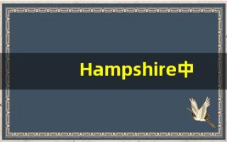 Hampshire中文释义,Hampshire中文翻译,Hampshire造句,Hampshire的发音