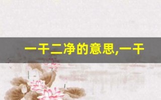 一干二净的意思,一干二净的近义词反义词,一干二净造句例句,一干二净出处及解释