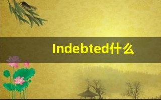 Indebted什么意思,Indebted用法,Indebted的发音,Indebted翻译