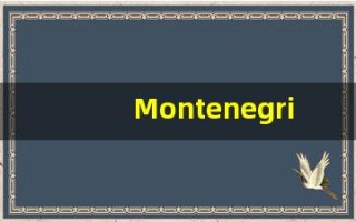 Montenegrin的翻译,Montenegrin怎么读,Montenegrin造句及用法
