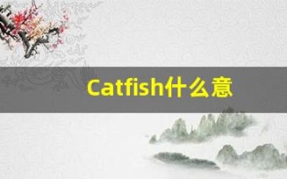 Catfish什么意思,Catfish用法,Catfish的发音,Catfish翻译