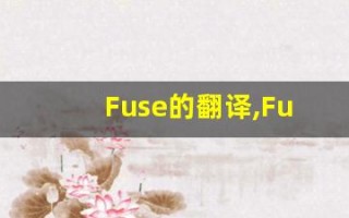 Fuse的翻译,Fuse怎么读,Fuse造句及用法