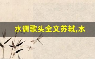 水调歌头全文苏轼,水调歌头讲了什么,水调歌头经典句子