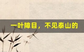 一叶障目，不见泰山的意思,一叶障目，不见泰山的近义词反义词,一叶障目，不见泰山造句例句,一叶障目，不见泰山出处及解释