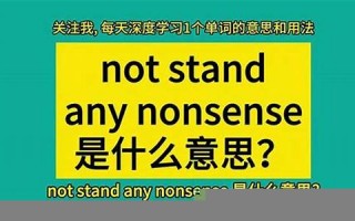 nonsense什么意思,nonsense中文翻译,nonsense用法及例句,nonsense怎么读